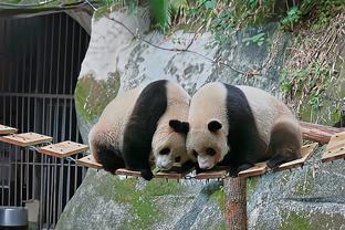 雷竞技主营业务